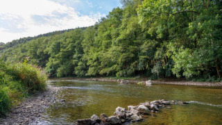 Scenic river with rocky shore and lush trees at Camping Village Sy, a holiday park in Liège, Belgium.