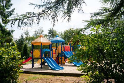Kleurrijke speeltuin met glijbanen en klimtoestellen omringd door bomen bij Camping de Zeven Heuveltjes, Drenthe.