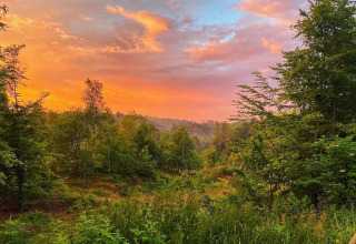 Sunset above lush forest at Tolne Camping in North Jutland, Denmark, with vibrant orange and blue skies.