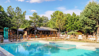 Piscina y tumbonas rodeadas de árboles en Camping Luna del Monte, un parque vacacional en Umbría, Italia.