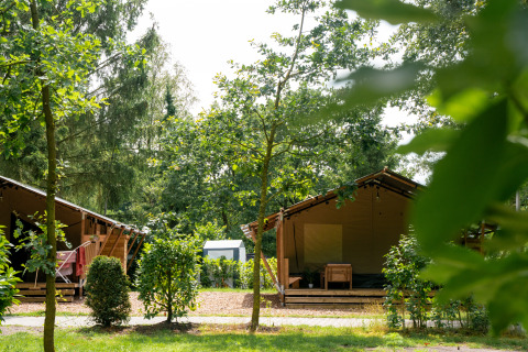 Zwei Safari-Zelte mit Sanitäreinrichtungen auf einem grünen Campingplatz, umgeben von Bäumen und Büschen.