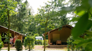 Twee safaritenten met sanitair op een groene camping, omgeven door bomen en struiken tijdens de zomer.