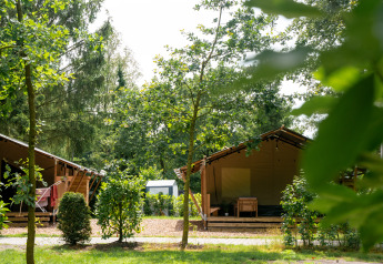 Dos tiendas safari con instalaciones sanitarias en un camping verde, rodeadas de árboles y arbustos en verano.