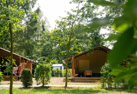 Dos tiendas safari con instalaciones sanitarias en un camping verde, rodeadas de árboles y arbustos en verano.