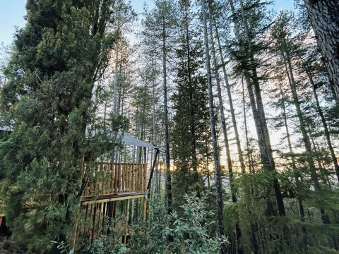 Tienda safari en Camping Luna del Monte en Italia, rodeada de altos árboles y naturaleza en el atardecer.