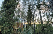Tenda safari al Camping Luna del Monte in Italia, immersa tra gli alti alberi della foresta al tramonto.