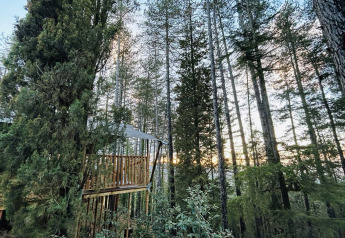Tenda safari al Camping Luna del Monte in Italia, immersa tra gli alti alberi della foresta al tramonto.