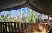 Udsigt fra en safaritelts veranda ved Camping Luna del Monte i Italien, omgivet af grønne træer.