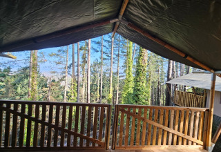 Vue depuis la véranda de la tente safari au Camping Luna del Monte en Italie, entourée d’arbres verts.