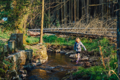 Et barn krydser en lille bæk omgivet af skov og grøn natur i Camping Braunlage, Niedersachsen, Tyskland.