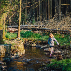 Un niño cruza un arroyo poco profundo junto al bosque en Camping Braunlage, Baja Sajonia, Alemania.