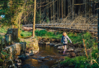 A child crosses a shallow stream beside the forest at Camping Braunlage holiday park, Lower Saxony, Germany.