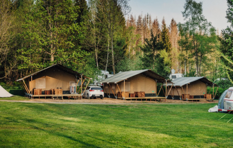 Tende di lusso presso il Camping Braunlage in Bassa Sassonia, Germania, circondate da prato e foresta.
