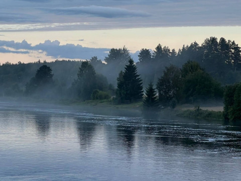 Leggera foschia mattutina su un fiume presso Camping Yttermalungs, Dalarna, Svezia, con foresta vicina.