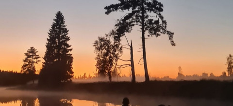 Tramonto sul lago al Camping Yttermalungs, parco vacanze a Dalarna, Svezia, con alberi in controluce e nebbia.
