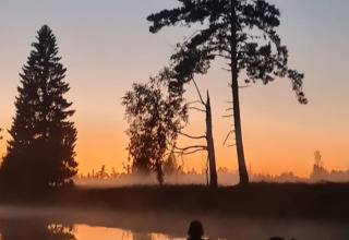 Solnedgang ved søen i Camping Yttermalungs feriepark, Dalarna, Sverige, med træer i silhuet og let tåge.