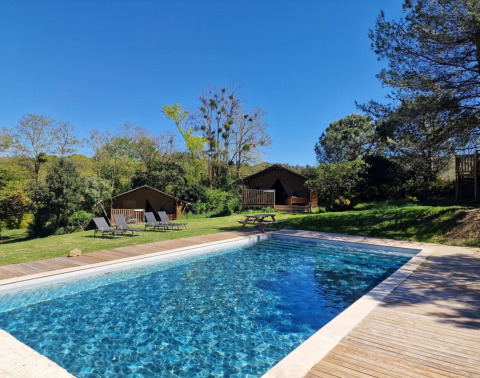 Outdoor swimming pool with sun loungers and wooden cabins at Domaine La Sauzette holiday park, Occitanie.