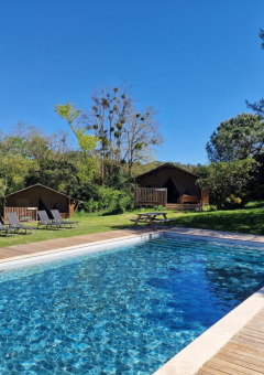 Piscina al aire libre con tumbonas y cabañas de madera en Domaine La Sauzette, parque vacacional Occitanie.