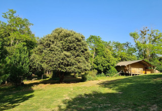 Billede af Domaine La Sauzette feriepark i Occitanie, Frankrig, med et telt og grønne træer under blå himmel.