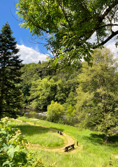 Sendero con bancos junto al río y vegetación exuberante en Camping la Roche, Limburg, Bélgica, día soleado.