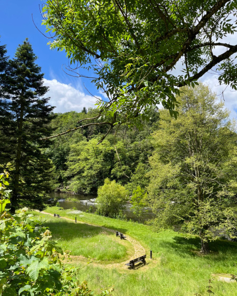 Sendero con bancos junto al río y vegetación exuberante en Camping la Roche, Limburg, Bélgica, día soleado.