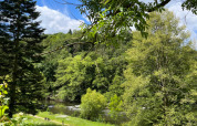 Udsigt over floden og grøn natur ved Camping la Roche i Belgisk Limburg med stier og bænke til afslapning.