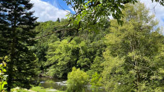 Udsigt over floden og grøn natur ved Camping la Roche i Belgisk Limburg med stier og bænke til afslapning.
