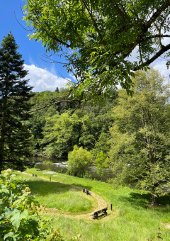 Sendero con bancos junto al río y vegetación exuberante en Camping la Roche, Limburg, Bélgica, día soleado.