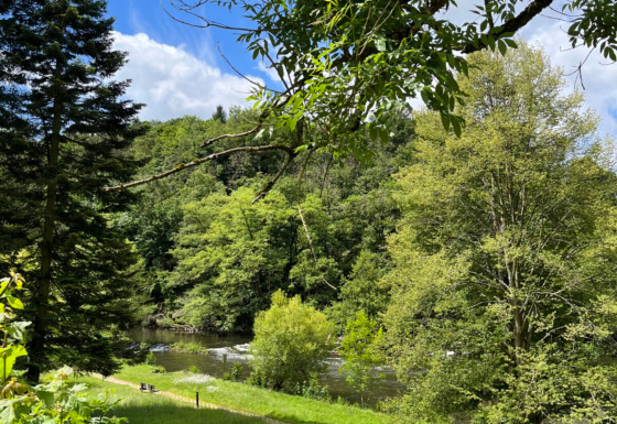 Grüne Wiesen, Fluss und Sitzbänke im Camping la Roche, Ferienpark in Limburg, Belgien bei sonnigem Wetter.