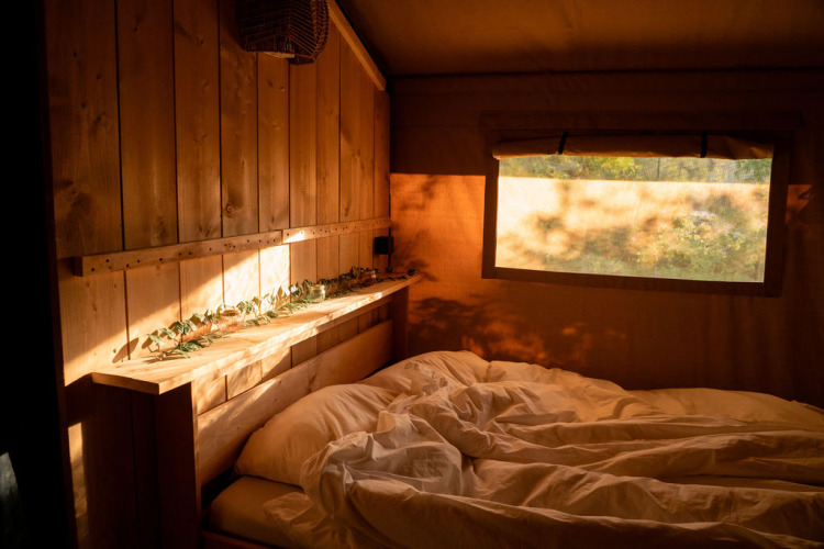 La luz del sol entra en un dormitorio acogedor de madera en una tienda de safari en Jocomo Parc, Bélgica.