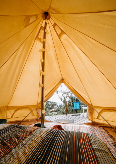 Indvendigt billede af en safari Belltent med udsigt til en træterrasse, stol og natur udenfor.