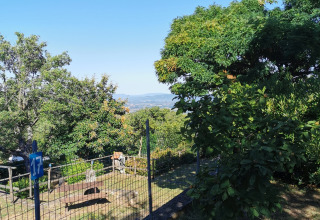 Udsigt over et indhegnet område med træer og bænk ved Belltent, Camping Lucherino, Italien, under klar himmel.