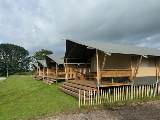Safari tents at Minicamping Marina Warns in the Netherlands with wooden decks and grassy surroundings.