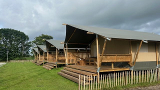 Safari-Zelte auf dem Minicamping Marina Warns in den Niederlanden mit Holzterrassen und grünem Rasen.