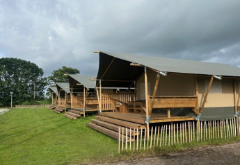 Safari tents at Minicamping Marina Warns in the Netherlands with wooden decks and grassy surroundings.