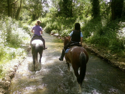 Zwei Personen reiten auf Pferden durch einen Bach im Wald im Camping Monti del Sole, Umbrien, Italien.