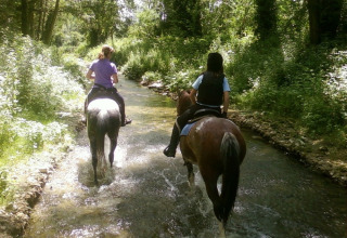Zwei Personen reiten auf Pferden durch einen Bach im Wald im Camping Monti del Sole, Umbrien, Italien.