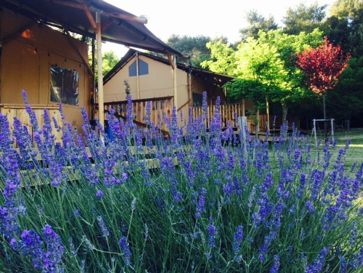 Lodgetent incl Sanitair