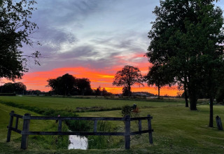 Scenic sunset view over glamping accommodation, featuring green fields, tall trees, and a peaceful sky.