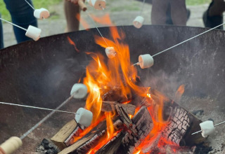 Several people roasting marshmallows over a campfire at a glamping site, viewed up close outdoors.