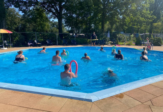 Personas haciendo gimnasia acuática en una piscina al aire libre en un alojamiento glamping con árboles.