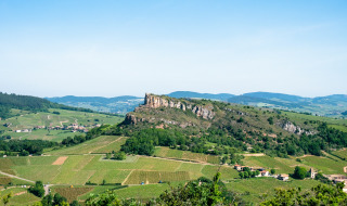 Wijngaarden en groene heuvels bij Thoissey, Auvergne-Rhône-Alpes, Frankrijk, onder een heldere lucht.
