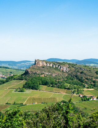 Bakkede landskaber og vinmarker nær Thoissey, Auvergne-Rhône-Alpes, Frankrig, under en klar blå himmel.