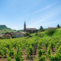 Vignobles et village avec église à Thoissey, Auvergne-Rhône-Alpes, France, sous un ciel bleu clair.