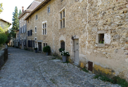 Brostensbelagt gade med gamle stenhuse og blomsterkrukker i nærheden af Thoissey, Auvergne-Rhône-Alpes, Frankrig.