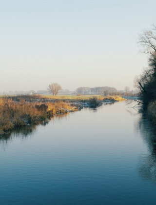 Un tranquilo río cerca de Neede, Gelderland, Países Bajos, rodeado de cañas y árboles en un ambiente invernal.