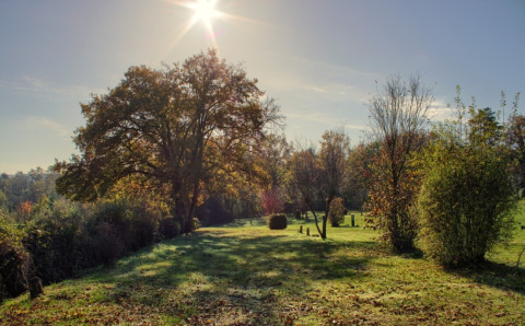 Día soleado con árboles y arbustos verdes cerca de Ave-et-Auffe, Namur, Bélgica, mostrando paisaje tranquilo.