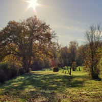Día soleado con árboles y arbustos verdes cerca de Ave-et-Auffe, Namur, Bélgica, mostrando paisaje tranquilo.