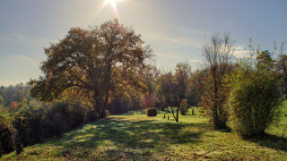 Día soleado con árboles y arbustos verdes cerca de Ave-et-Auffe, Namur, Bélgica, mostrando paisaje tranquilo.