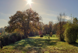 Giornata soleggiata con alberi e cespugli verdi vicino ad Ave-et-Auffe, Namur, Belgio, paesaggio sereno.